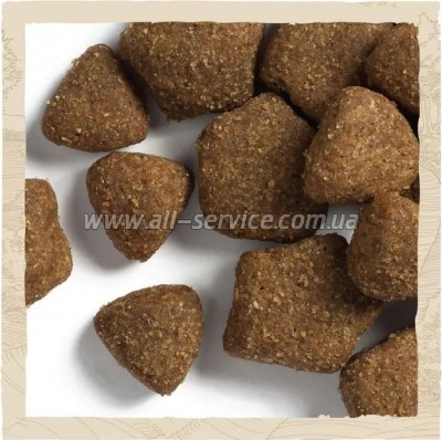    Purina Dog Chow Adult Lamb    2.5  (7613034485946)