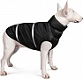  Pet Fashion 