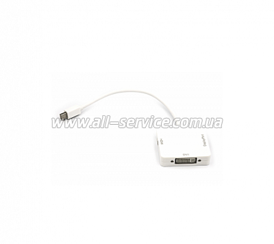 - PowerPlant mini DisplayPort - DisplayPort/HDMI/DVI 0.2 m