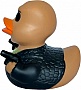    Funny Ducks  Morph (1326)
