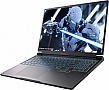  Thunderobot RS16 (RS16-i9139HX57TC1Q240ARB1)
