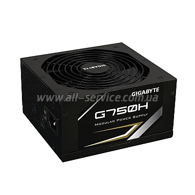   GIGABYTE RETAIL G750H (GP-G750H)