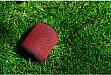   2E SoundXPod TWS MP3 Wireless Waterproof Red (2E-BSSXPWRD)