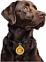    WAUDOG Smart ID  QR  