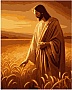 ������� �� ������� Santi "����� ���" 40*50�� (955766)