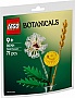 Конструктор LEGO Botanicals Полевые цветы (30701) Конструктор LEGO Botanicals Полевые цветы (30701)