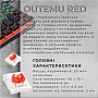  GamePro MK140R Red Swich Low Profile USB Dark Gray (MK140R)