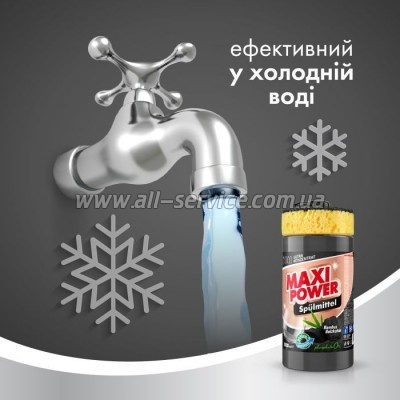      Maxi Power   1000  (4823098411796)