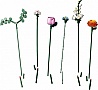 ����������� LEGO Botanicals ����� ������� ����� ������ (10342)