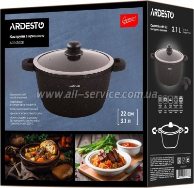 �������� Ardesto Gemini Anzio 3.1� (AR2430GE)