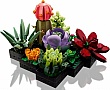  LEGO Botanicals  (10309-)