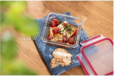   Tefal Masterseal Glass Red 800  (N1041410)