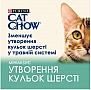     Purina Cat Chow Hairball        85 (7613037031393)