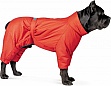  Pet Fashion Cold S  (4823082426072)