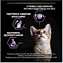     Purina Pro Plan Original Kitten  12    1.5 (7613036505178)