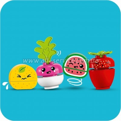  LEGO DUPLO My First   40  (10983)