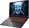  Thunderobot R16 (R16-i7146HX56C1Q300RG)