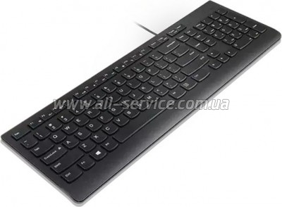  Lenovo Essential USB UA Black (4Y41C75141)