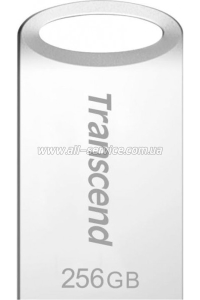  Transcend 256GB JetFlash 710 Silver USB 3.1 (TS256GJF710S)