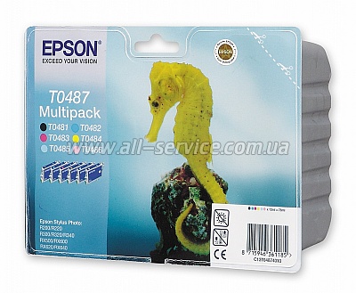 Набор картриджей Epson St Photo R200/ 220/ 300/ 320/ 340/ RX500/ 600/ 620/ 640 Bundle (C13T04874010)