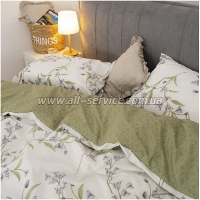   Viluta 24277   (24277_sm)