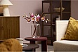 ����������� LEGO Botanicals Magnolia Branches (11510)