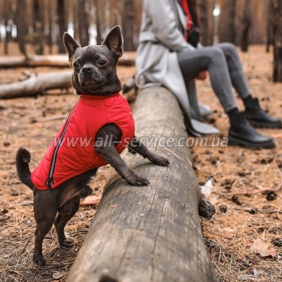    Pet Fashion "E.Vest" S  (4823082424450)
