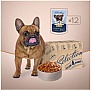     Club 4 Paws Selection         85  (4820215368056)