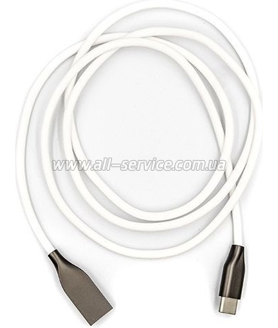 ���� ������ USB 2.0 AM to USB-C 1.0m white PowerPlant (CA910717)