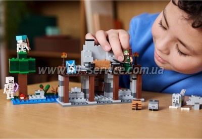  LEGO Minecraft    (21261)