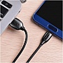 ���� ������ USB 2.0 AM to USB-C 1.0m 3A PVC BX19 black BOROFONE (6931474701794)