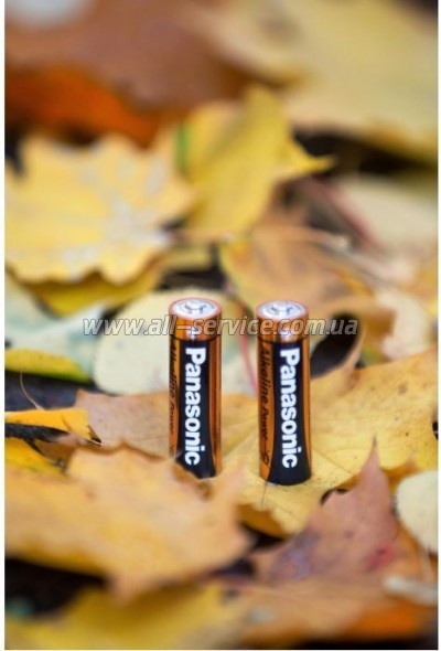  Panasonic LR06 Alkaline Power * 2 (LR6REB/2BP)