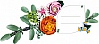 ����������� LEGO Botanicals ����� ������� ����� ������ (10342)