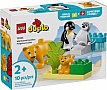 ����������� LEGO DUPLO Town ѳ������� ����� ������: ϳ����� �� ���� (10442)