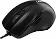  Canyon M-6 USB Black (CNE-CMS6)