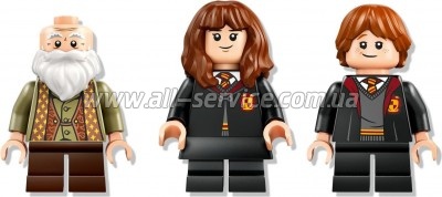 ����������� LEGO Harry Potter ����� ��������: ���� ����������� (76442)