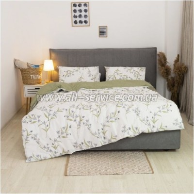   Viluta 24277   (24277_dv)