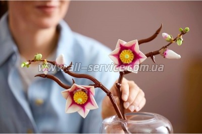 ����������� LEGO Botanicals Magnolia Branches (11510)