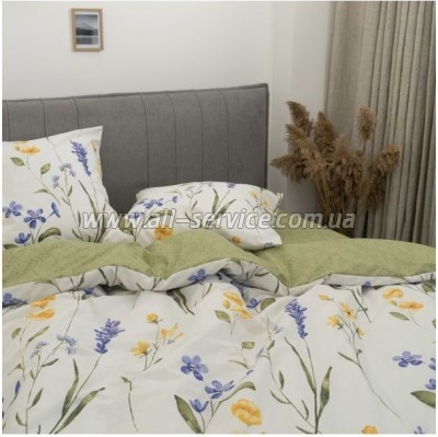   Viluta 24266   (24266_pl)