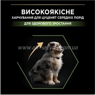     Purina Pro Plan Dog Medium Puppy     12 (7613035120402)