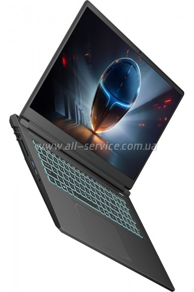  Thunderobot 911 X17 (911X17-i7136H56C1Q165MBD)