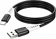 ���� ������ USB 2.0 AM to USB-C 1.0m 3A Black HOCO (6931474768575)