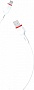 ���� ������ USB 2.0 AM to USB-C 1.0m 2.4A NB-P171 white XO (6920680873692)