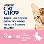 Сухой корм для кошек Purina Cat Chow Kitten с курицей 15 кг (5997204514028) Сухой корм для кошек Purina Cat Chow Kitten с курицей 15 кг (5997204514028)