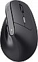  Trust Bayo 2 Ergonomic Wireless/USB-A Black (25145)
