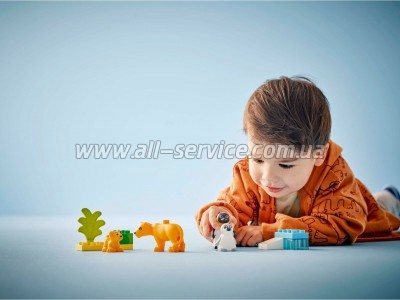 ����������� LEGO DUPLO Town ѳ������� ����� ������: ϳ����� �� ���� (10442)
