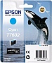 Epson SureColor SC-P600 cyan (C13T76024010)