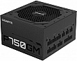   GIGABYTE 750W (GP-P750GM)