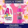 ����������� ��� ����� Coccolino Perfume & Care Tiare Flower & Red Fruits 925 �� (8720181409653)