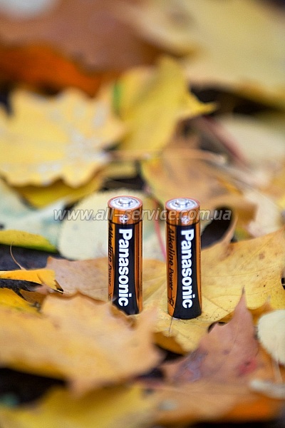  Panasonic ALKALINE POWER AA BLI 4 (LR6REB/4BPR)